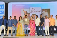 Nannu Dochukunduvate Pre Release Photos